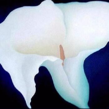 Painting titled "CALLA" by Anita Burnaz, Original Artwork