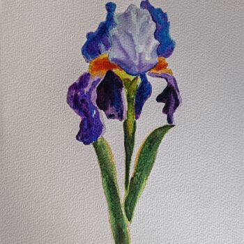 Painting titled "Iris" by Anna An, Original Artwork, Watercolor