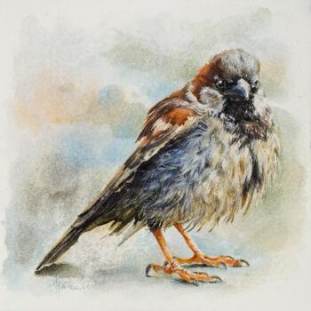 「"Sparrow" - Origina…」というタイトルの絵画 Anna Ivanovaによって, オリジナルのアートワーク, 水彩画