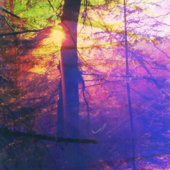 Collages titled "Forêt lumière du so…" by Anne Maury, Original Artwork, 2D Digital Work