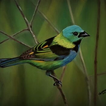 绘画 标题为“oiseau Brésilien” 由Anny Dournon, 原创艺术品, 粉彩