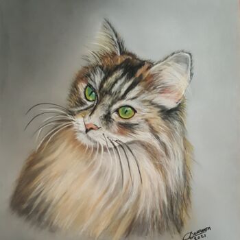 Painting titled "Maine coon" by Anny Dournon, Original Artwork, Pastel