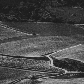 "U Campagnu" başlıklı Fotoğraf Antonin Borie tarafından, Orijinal sanat, Dijital Fotoğrafçılık