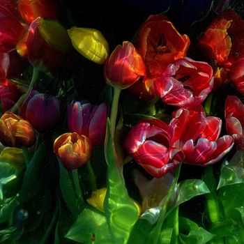 Fotografia intitolato "mélange de tulipes." da Aquartistiq, Opera d'arte originale, Fotografia digitale