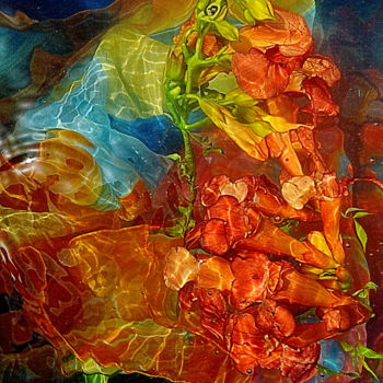 Photographie intitulée "fleurs / foulard" par Aquartistiq, Œuvre d'art originale, Photographie numérique