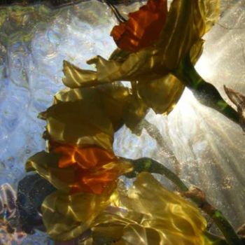 Фотография под названием "fleurs4" - Aquartistiq, Подлинное произведение искусства