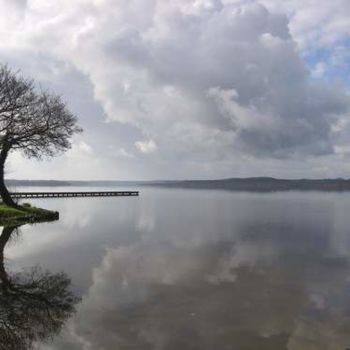 Photographie intitulée "lac et arbre" par Aquartistiq, Œuvre d'art originale, Photographie numérique