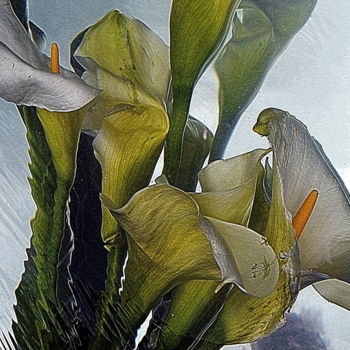 Photographie intitulée "Arums......" par Aquartistiq, Œuvre d'art originale, Photographie numérique