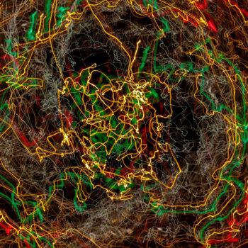 Photographie intitulée "03" par Ariel Subira, Œuvre d'art originale, Light Painting