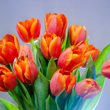Фотография под названием "Bouquet of red tuli…" - Artcomma, Подлинное произведение искусства