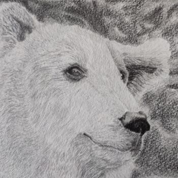 Drawing titled "Ours" by Noémie Richard, Original Artwork, Graphite