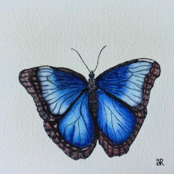 Dessin intitulée "Morpho Bleu" par Noémie Richard, Œuvre d'art originale, Crayon