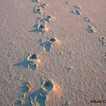 Fotografía titulada "El Caminante" por Arturo Carrión, Obra de arte original