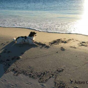 Fotografía titulada "La Espera" por Arturo Carrión, Obra de arte original