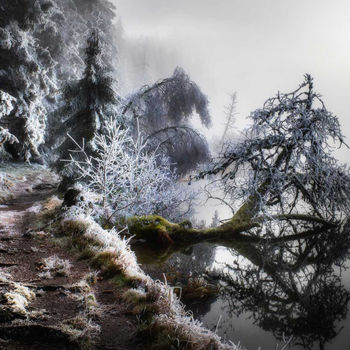 Photographie intitulée "Autour du lac" par Roland Avard, Œuvre d'art originale, Photographie numérique Monté sur Aluminium