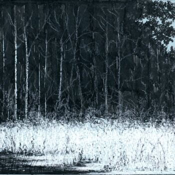 图画 标题为“The Winter Meadow /…” 由Владимир Абаимов, 原创艺术品, 墨