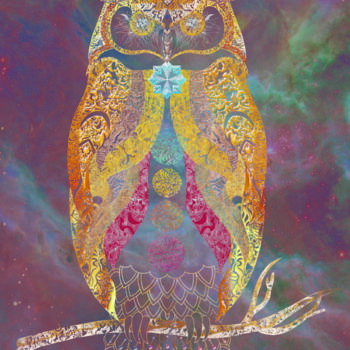 Цифровое искусство под названием "Galaxy Owl" - Barbara Goguier, Подлинное произведение искусства, 2D Цифровая Работа Устано…