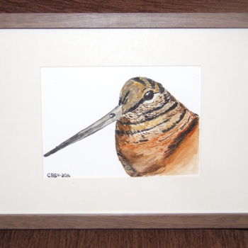 Painting titled "tête de bécasse" by Christelle Barbier Saint Hilaire, Original Artwork, Watercolor