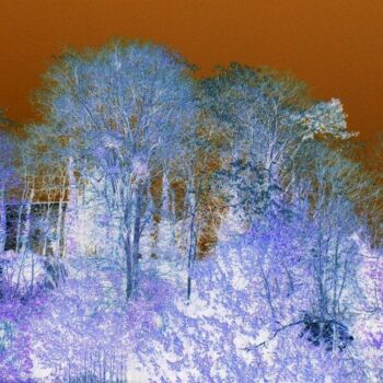 Fotografía titulada "Bois, neige et nuit" por Béatrice Marie Penaud, Obra de arte original, Fotografía digital
