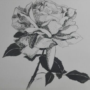 图画 标题为“rose en noir et bla…” 由Beatrice Auriol Besombes, 原创艺术品, 墨
