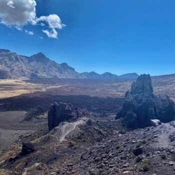 "Sergio" başlıklı Fotoğraf Benoît Lenepveu tarafından, Orijinal sanat, Dijital Fotoğrafçılık Diğer sert panel üzerine monte…