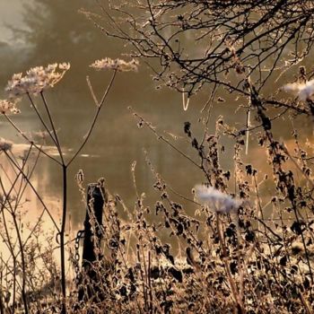 Fotografia zatytułowany „matin d'hiver” autorstwa Bernard Jacques, Oryginalna praca