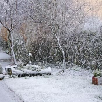 Fotografie getiteld "jardin sous la neige" door Bernard Jacques, Origineel Kunstwerk