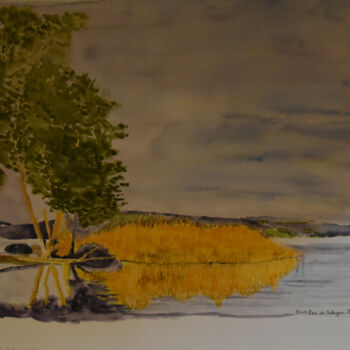 Картина под названием "Lac du Salagou, prè…" - Bernard Pothier, Подлинное произведение искусства, Акварель