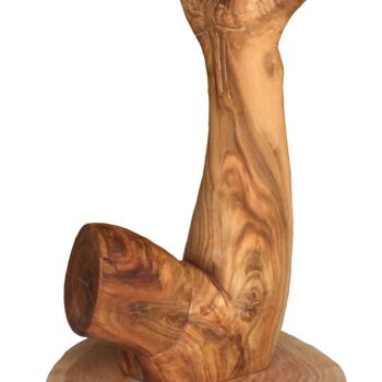 雕塑 标题为“Crispation” 由Bernard Sabathé, 原创艺术品, 木