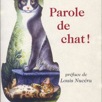 Painting titled "Parole de Chat" by Bernard Vercruyce, Original Artwork, Oil