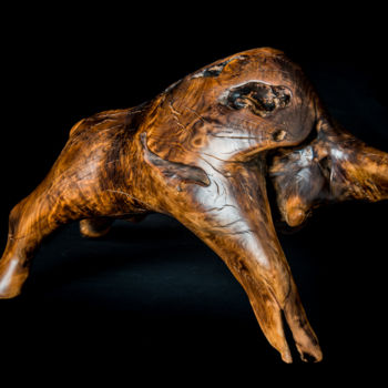 Escultura titulada "Bison" por Bernard Geoffroy, Obra de arte original, Madera