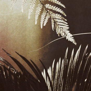 Photographie intitulée "Cycas & Dicksonia l…" par Bernard Liotier, Œuvre d'art originale