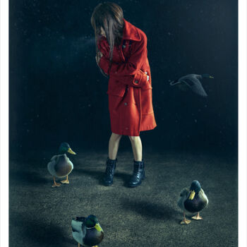 Photographie intitulée "Un froid de canard…" par Bettina Dupont, Œuvre d'art originale, Photographie manipulée