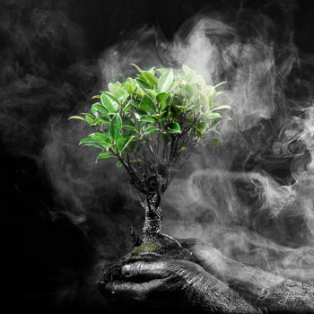 Fotografia intitulada "Déforestation" por Blandine Legros, Obras de arte originais, Fotografia digital