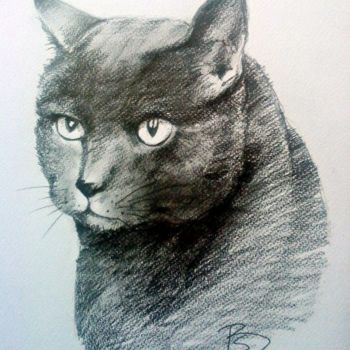 Drawing titled "Cat" by Beata Sikorska-Łabęcka, Original Artwork, Other