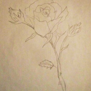 Desenho intitulada "Rose blanche." por Roberto Urbano, Obras de arte originais, Lápis
