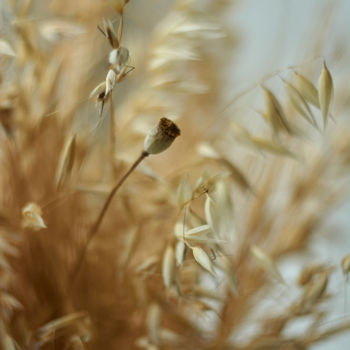 Fotografia intitulada "Oats and poppy bouq…" por Ekaterina Bokova, Obras de arte originais, Fotografia digital