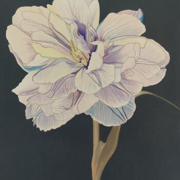 제목이 "Nectar n°3"인 그림 Sandrine Borgniet로, 원작, 연필