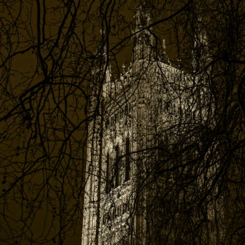 Фотография под названием "Palace of Westminst…" - Jgc Braticius, Подлинное произведение искусства, Цифровая фотография