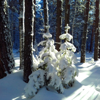 Fotografia zatytułowany „New Year Friendship” autorstwa Sergei Smv, Oryginalna praca