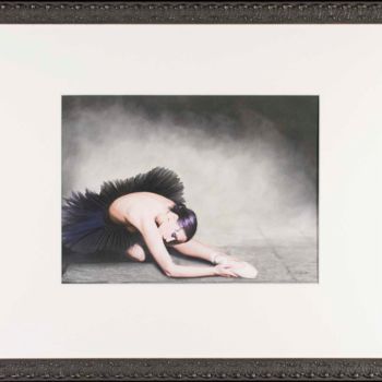 Dessin intitulée "Black Swan" par Brita Seifert, Œuvre d'art originale, Pastel