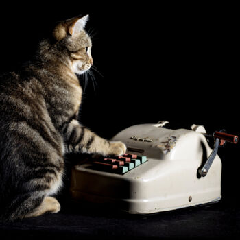 Photographie intitulée "le chat et la calcu…" par Bruno Bisanti, Œuvre d'art originale, Photographie non manipulée Monté sur…