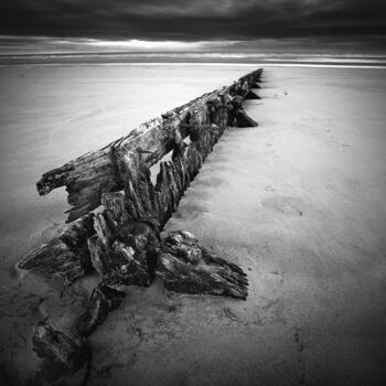 "Leviathan Study II" başlıklı Fotoğraf Bruno Mercier tarafından, Orijinal sanat, Dijital Fotoğrafçılık