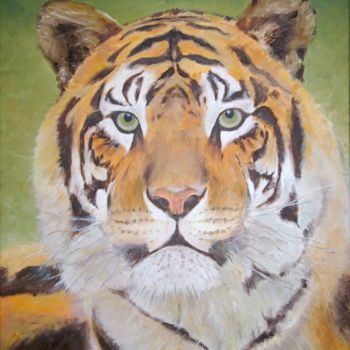 Pittura intitolato "Tête de tigre" da Bruno Nuevo, Opera d'arte originale, Olio