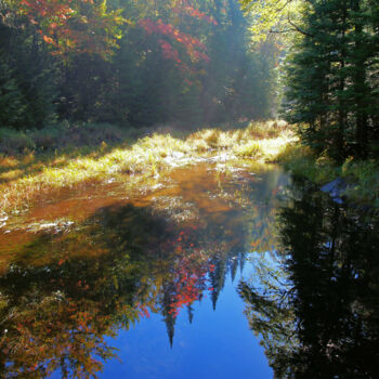 Fotografía titulada "Derrière le rideau" por Carl Legault, Obra de arte original, Fotografía digital Montado en Bastidor de…