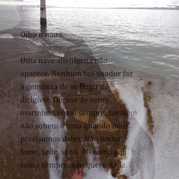 Arts numériques intitulée "Faz falta, o fósforo" par Carolina Vigna, Œuvre d'art originale, Collage numérique