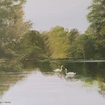 Pittura intitolato "Ballynahinch swans," da Cathal O Malley, Opera d'arte originale, Acrilico