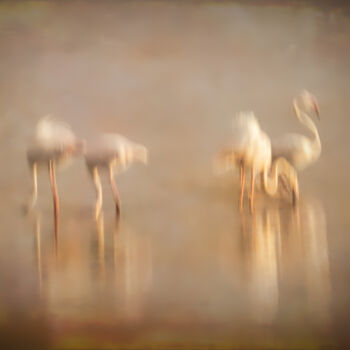 Photography titled "The gold lake" by Catherine Lefrancq, Original Artwork, Analog photography Mounted on Aluminium