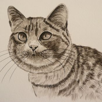 Peinture intitulée "CHAT tabby" par Cathou-Bazec, Œuvre d'art originale, Encre