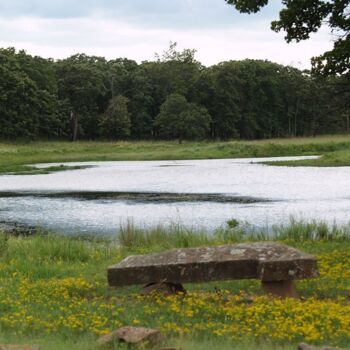 Photography titled "Beautiful Pond" by Cathy Robertson, Original Artwork, Non Manipulated Photography